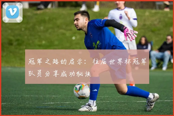 冠军之路的启示：往届世界杯冠军队员分享成功秘诀