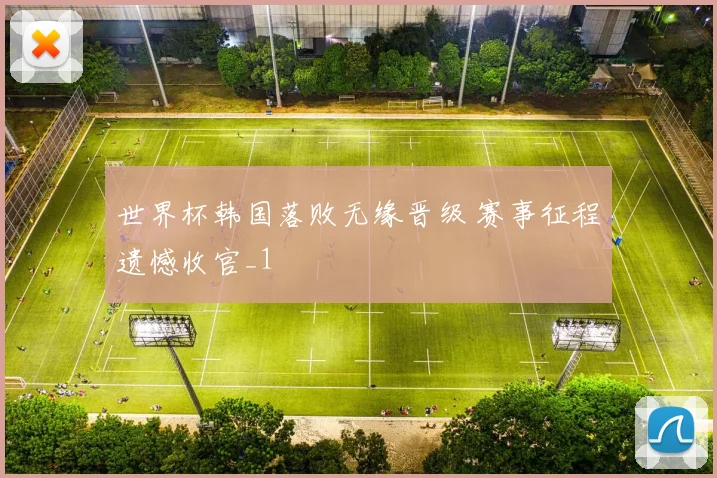 世界杯韩国落败无缘晋级 赛事征程遗憾收官_1