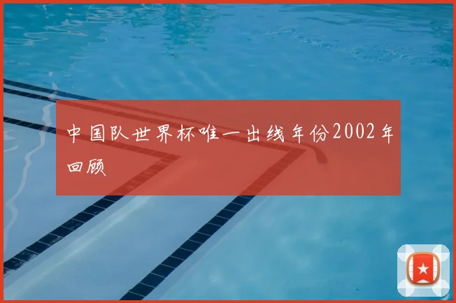 中国队世界杯唯一出线年份2002年回顾