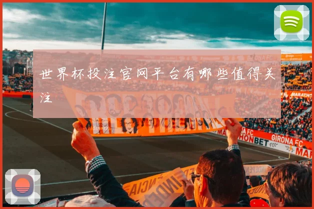世界杯投注官网平台有哪些值得关注