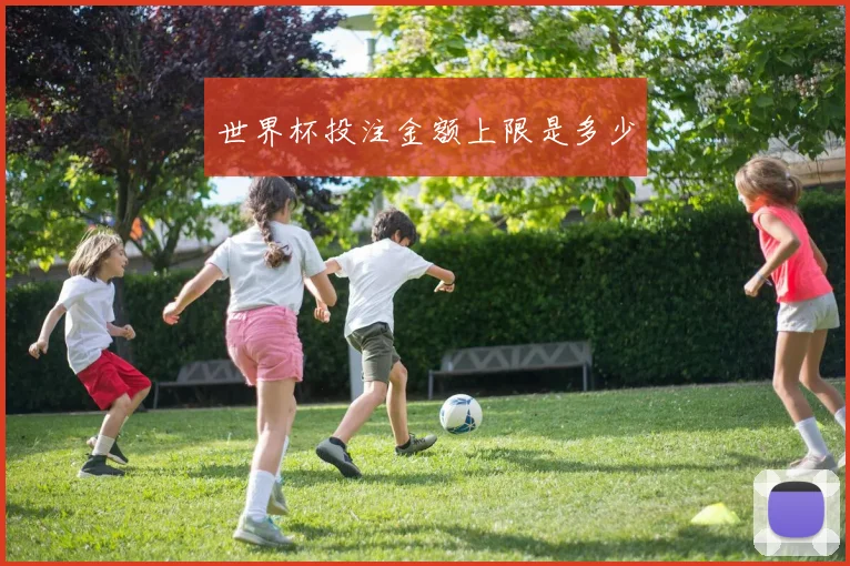 世界杯投注金额上限是多少