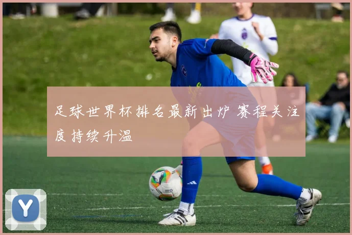 足球世界杯排名最新出炉 赛程关注度持续升温