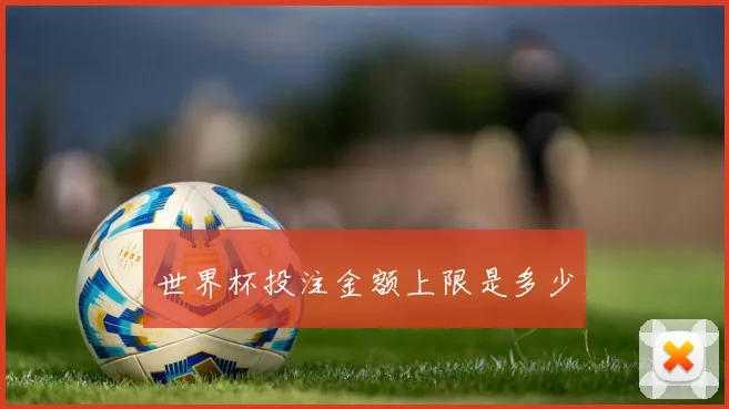 世界杯投注金额上限是多少