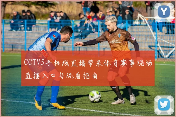 CCTV5手机线直播带来体育赛事现场直播入口与观看指南